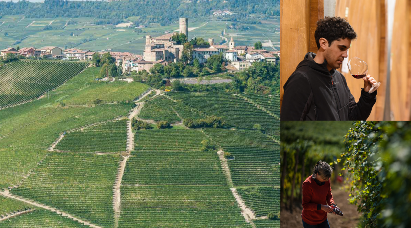 In Barolo's Great 2016 Vintage, Rionda is Reborn